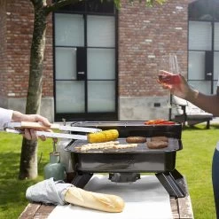 Princess 112252 Hybride Barbecue – Elektrische BBQ - Tafelmodel - 2000W - 44x 29cm - Gebruik Elektrisch Of Met Kolen -Keukengrill Winkel 1200x1200 488