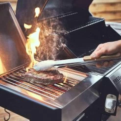 Burnhard Gas BBQ FRED JR. Deluxe - 2 Branders - Incl. Keramische Infraroodbrander & Afdekhoes - Deluxe 24 Burnhard Gas BBQ FRED JR. Deluxe - 2 Branders - Incl. Keramische Infraroodbrander & Afdekhoes - Deluxe -Keukengrill Winkel 1200x1200 751