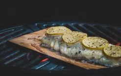 Merkloos Rookplank Western Red Cedar - 5 Stuks - Rookhout -Keukengrill Winkel 1200x754